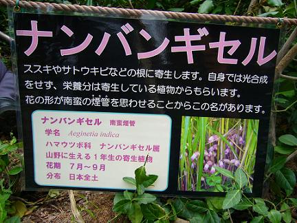 p1020735.jpg