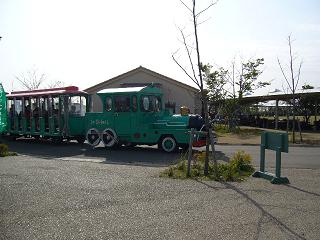 P1010477.jpg