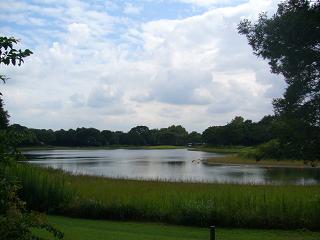 p1020757.jpg