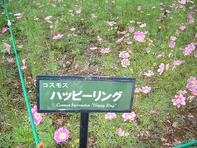 p1020759.jpg