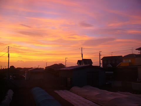p1020817.jpg