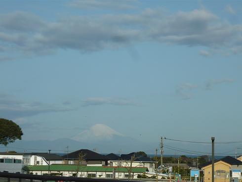 p1040495.jpg