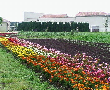 nec_0084.jpg