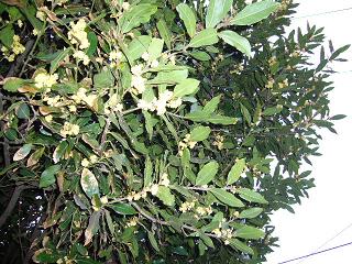 P1010501.jpg