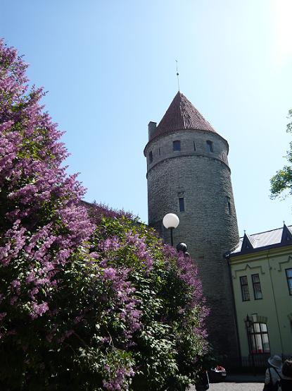 p1030349.jpg