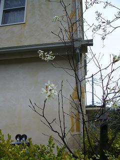 P1010491.jpg
