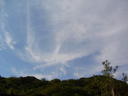 p1020862.jpg