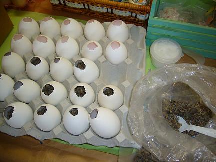 p1030050.jpg