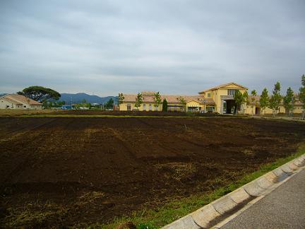 p1020713.jpg