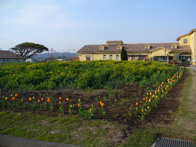 P1010498.jpg