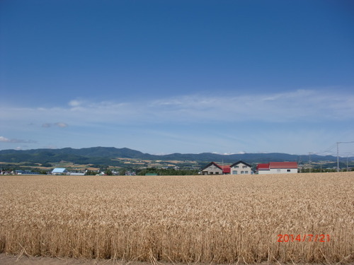 CIMG2478