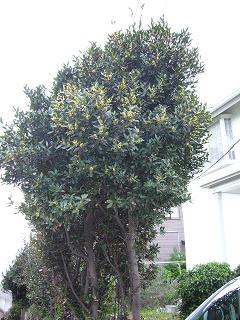 P1010500.jpg