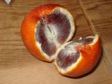 dsc06405.jpg