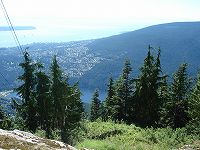 dsc07823.jpg