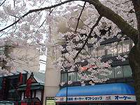 dsc06596.jpg