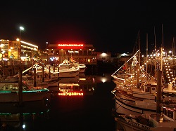 dsc09768.jpg