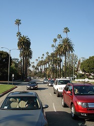 dsc09501.jpg