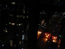 dsc08774.jpg