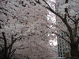 dsc06595.jpg