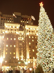dsc09810.jpg