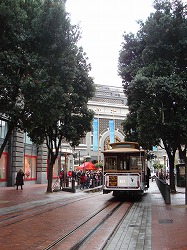 dsc09817.jpg