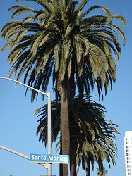 dsc09457.jpg