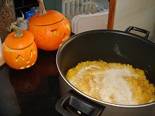 dsc08727.jpg