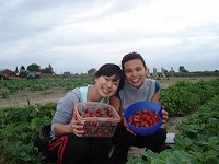 dsc07447.jpg