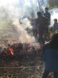 pa0_0005.jpg