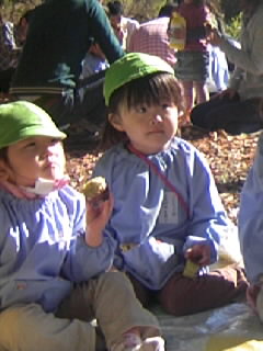 pa0_0004.jpg