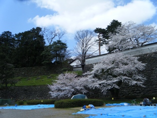 DSCF2408-2