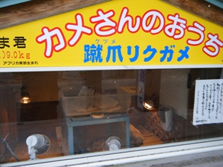 dscf2282.jpg