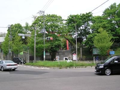 3f467876.jpg