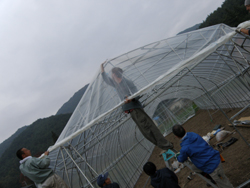 pa250203.jpg