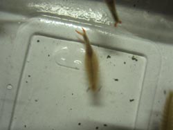 img20080612.jpg
