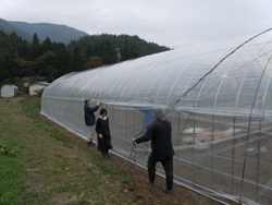 pa250214.jpg