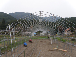 pa240184.jpg