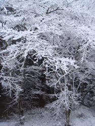 img20090127.jpg