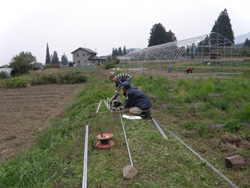 pa240182.jpg