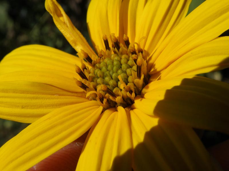 p9240037.jpg