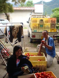 img20080817.jpg