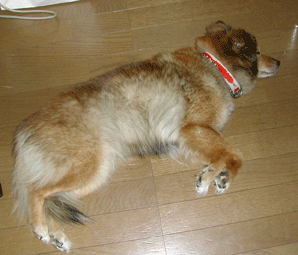 yuri0610m.gif