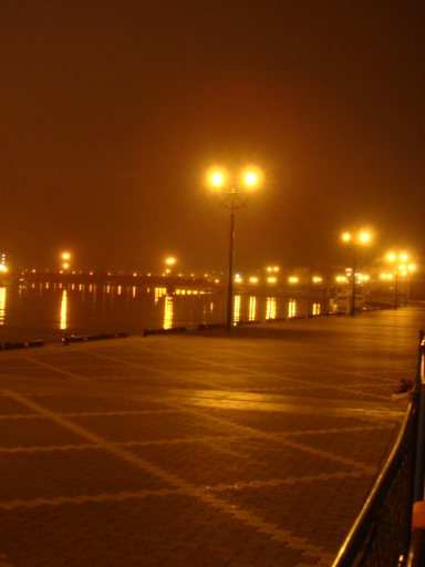 dsc01685.jpg