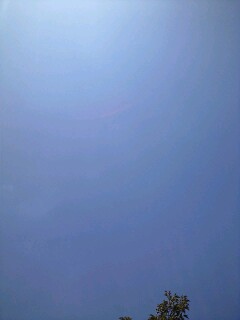 img20090919.jpg