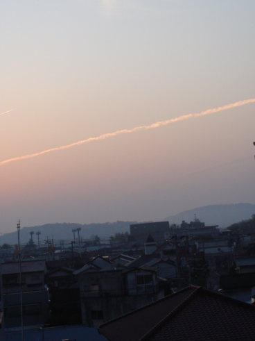 dsc01130.jpg