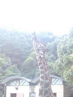 img20091030_1.jpg