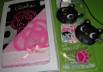 img20080229_1.jpg