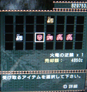 img20080328.jpg