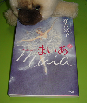 img20080226.jpg