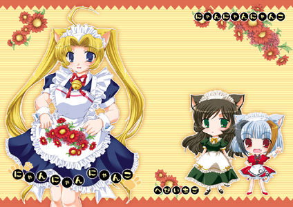 d_nyan